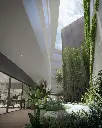 morros-kai-indoor-garden.webp