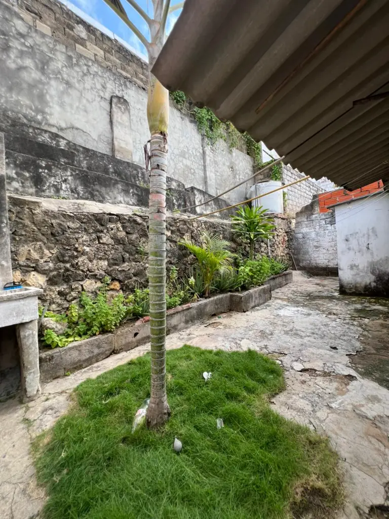 WhatsApp Image 2026-01-06 at 9.07.25 AM.webp